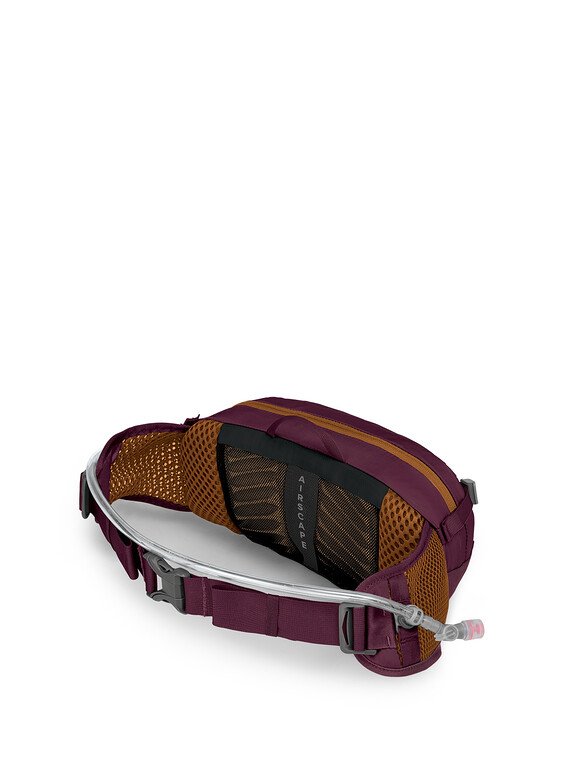 Osprey Seral 4 - Aprium Purple