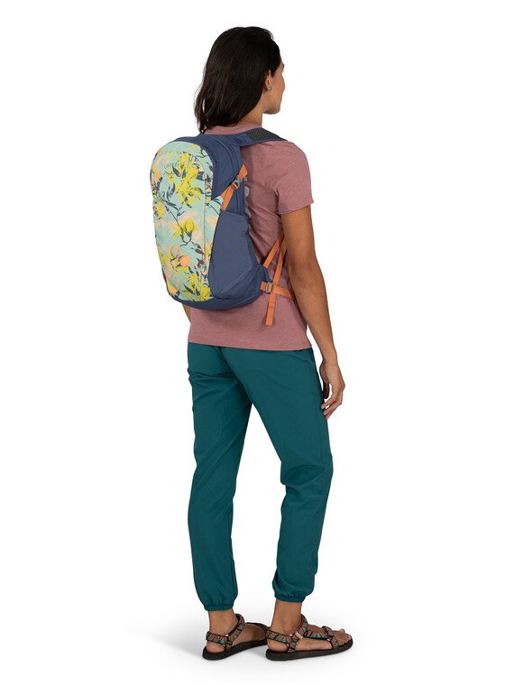 Osprey Daylite - Salmon Pink Gentian Blue