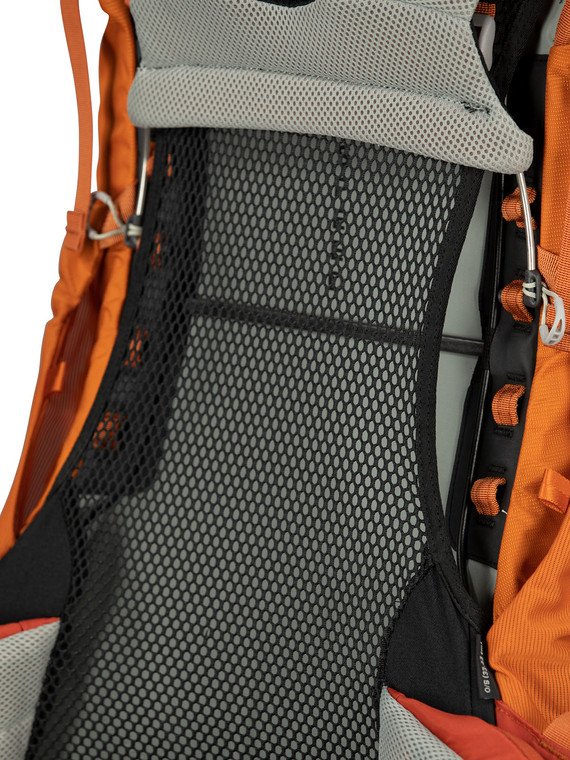 Osprey ACE 50 - Venture Green