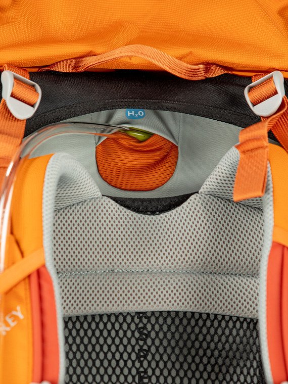 Osprey ACE 50 - Venture Green